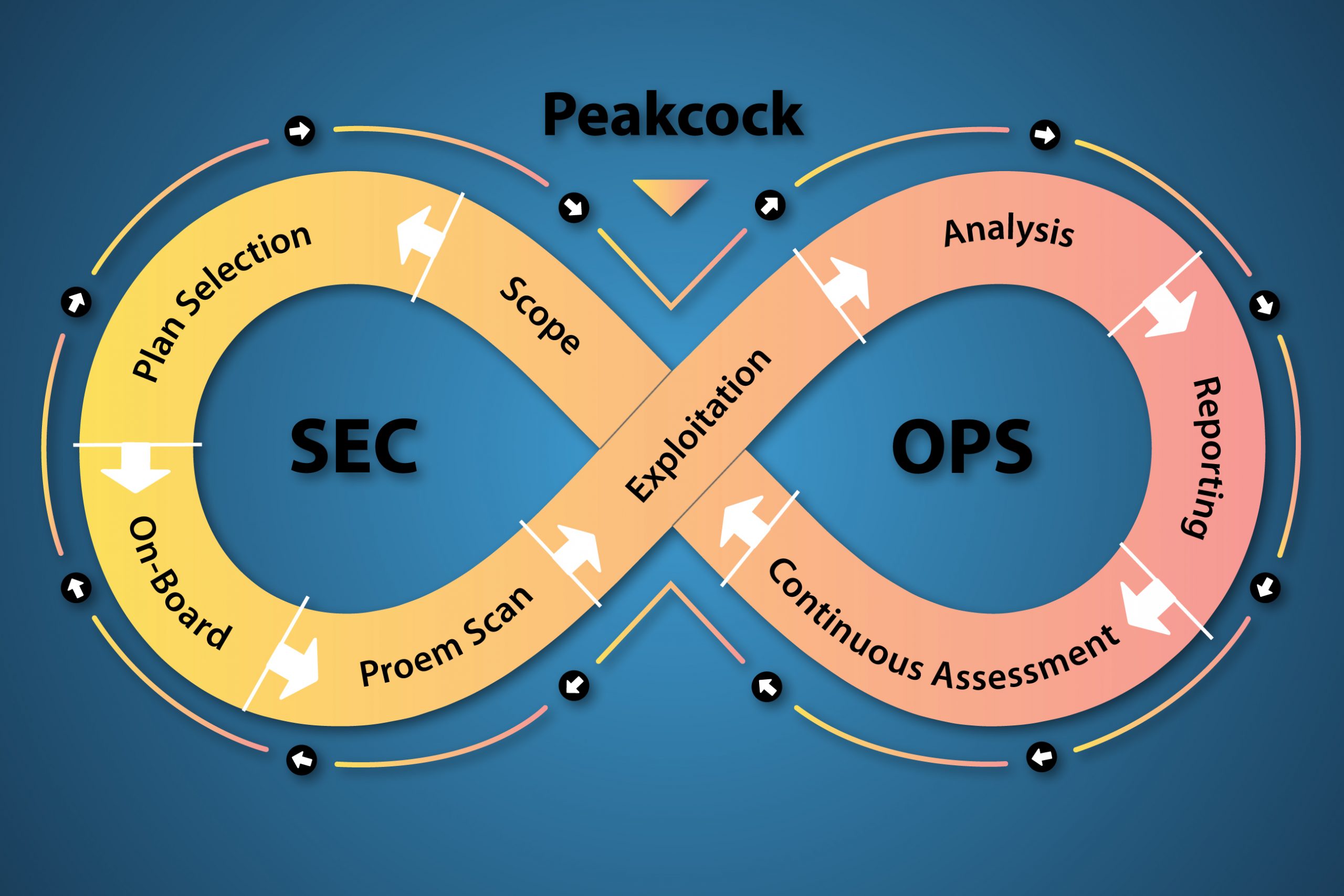 IT Consulting